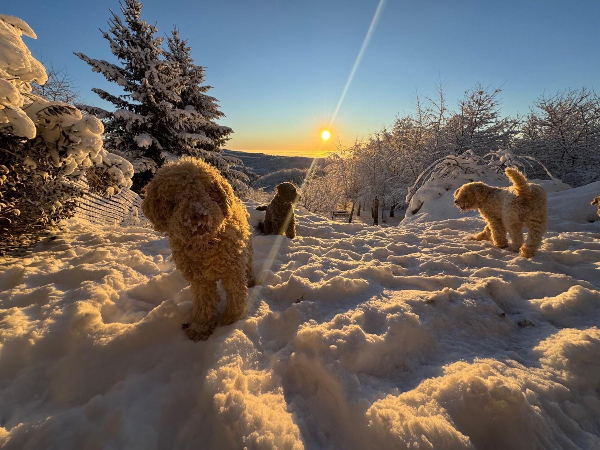 Guest House Lagotto'S Peak Radatovici Luaran gambar