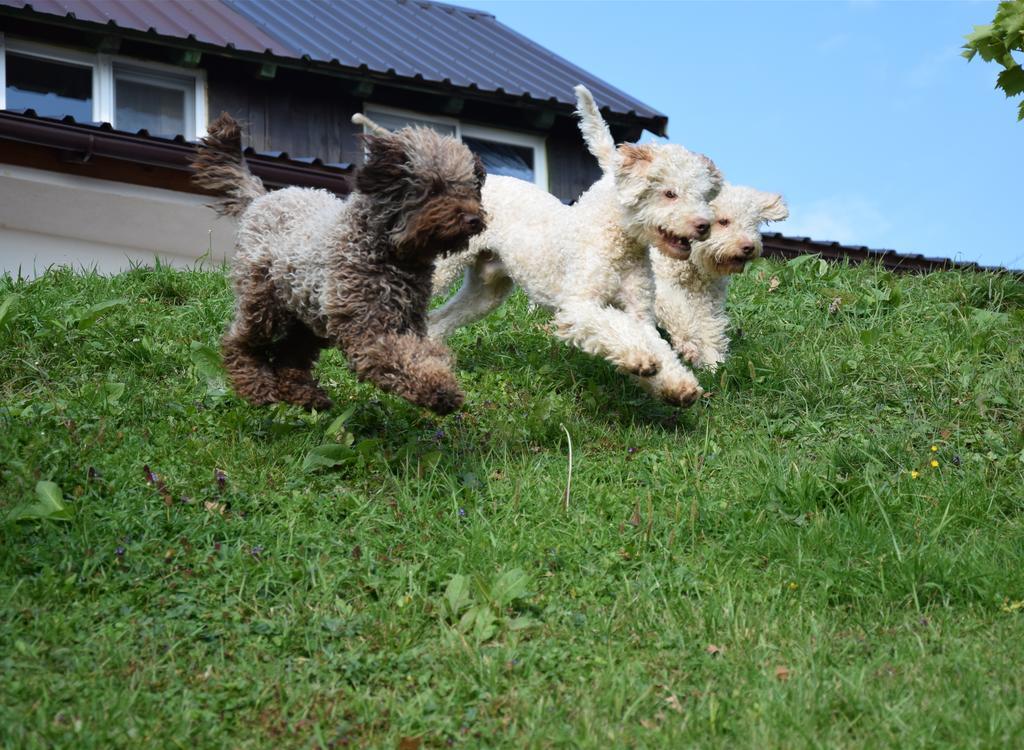 Guest House Lagotto'S Peak Radatovici Luaran gambar