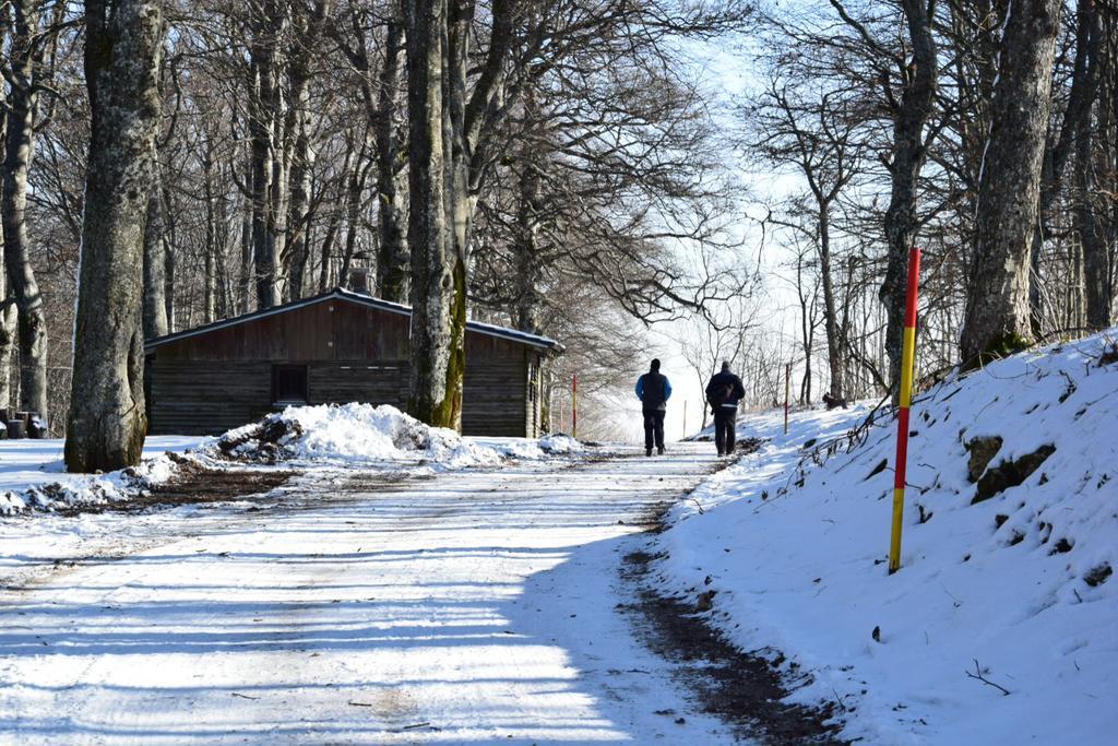 Guest House Lagotto'S Peak Radatovici Luaran gambar