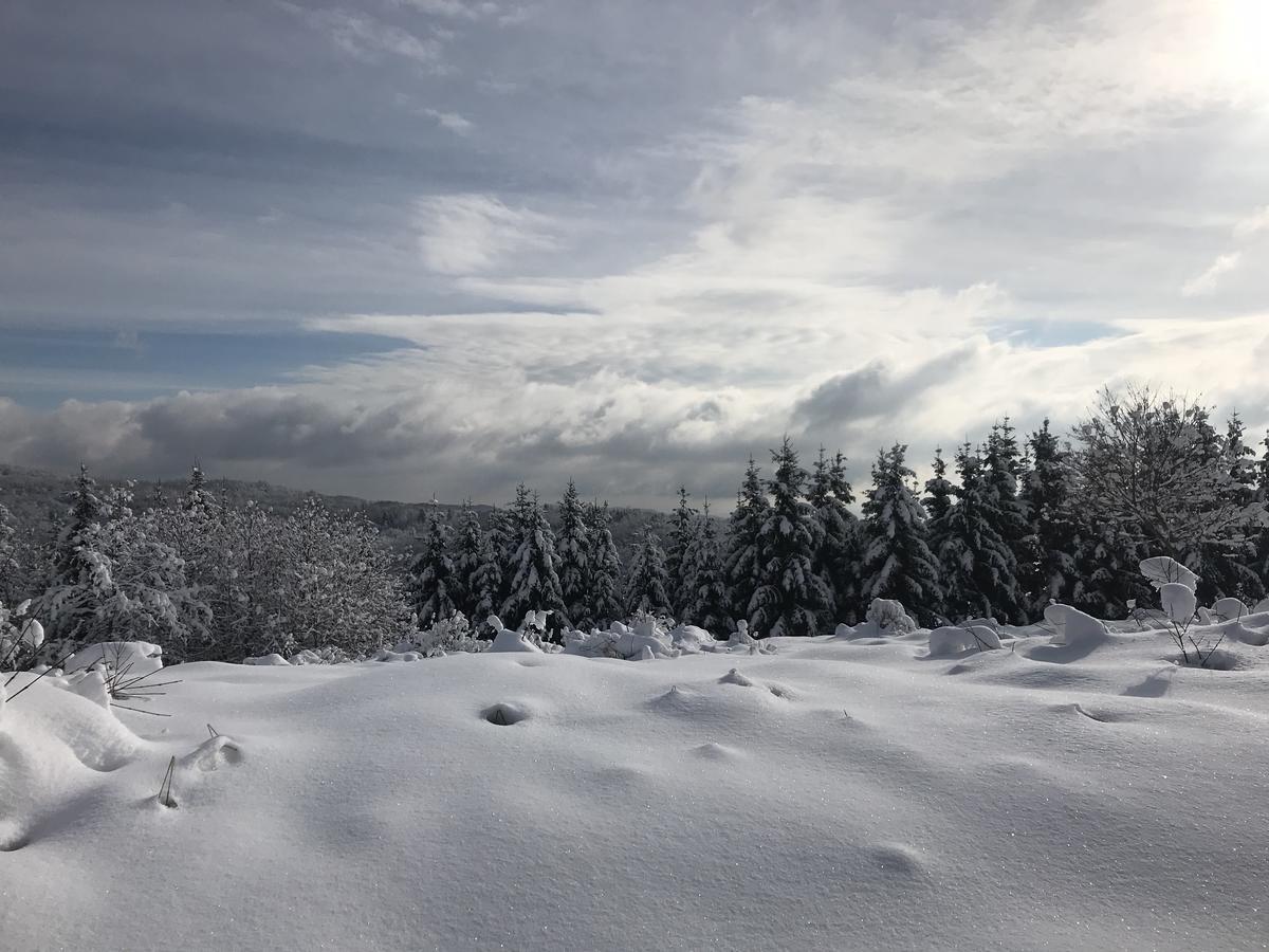 Guest House Lagotto'S Peak Radatovici Luaran gambar